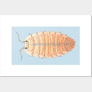 Porcellio scaber "Orange Embers" Isopod Posters and Art